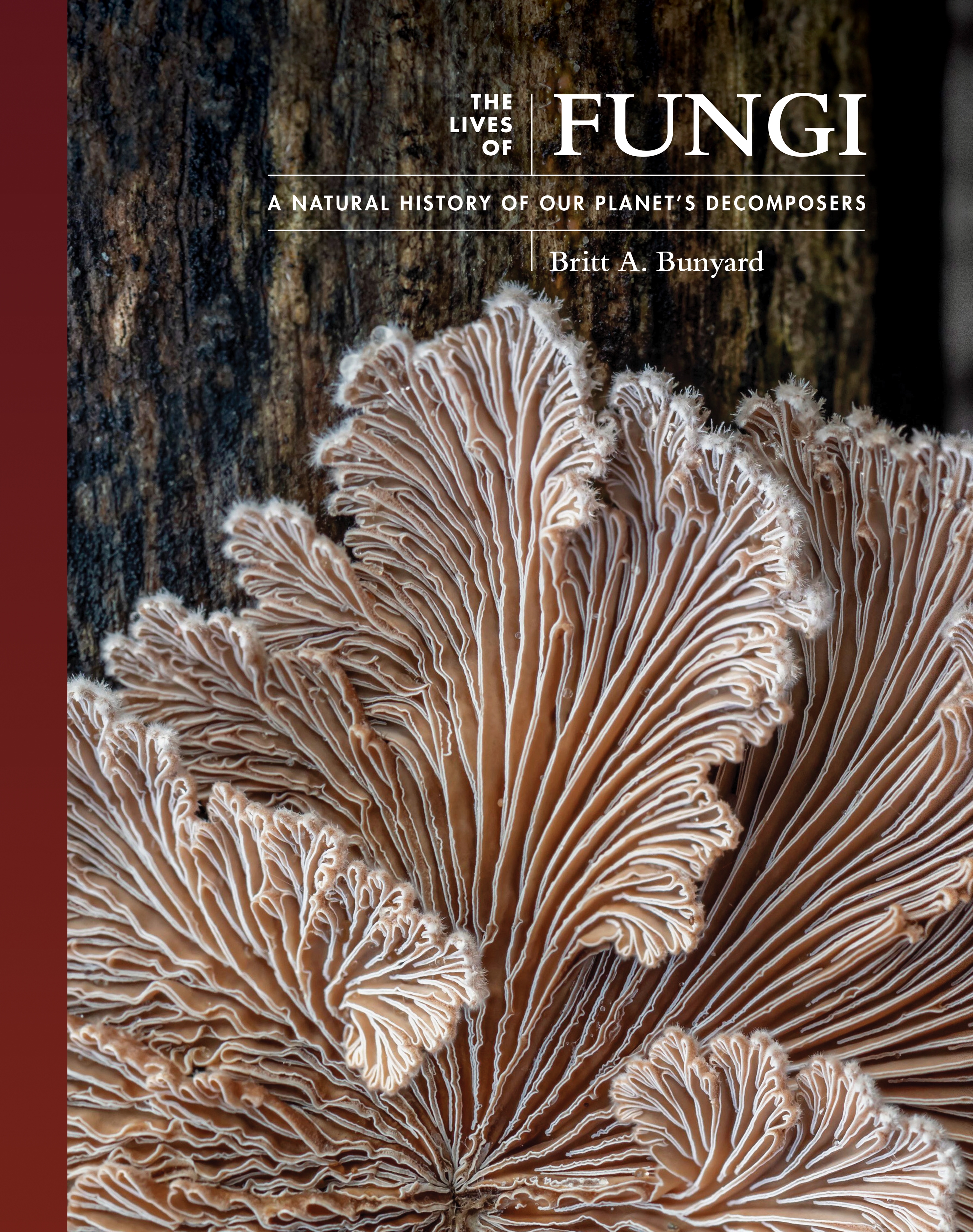 The Lives of Fungi | Princeton University Press