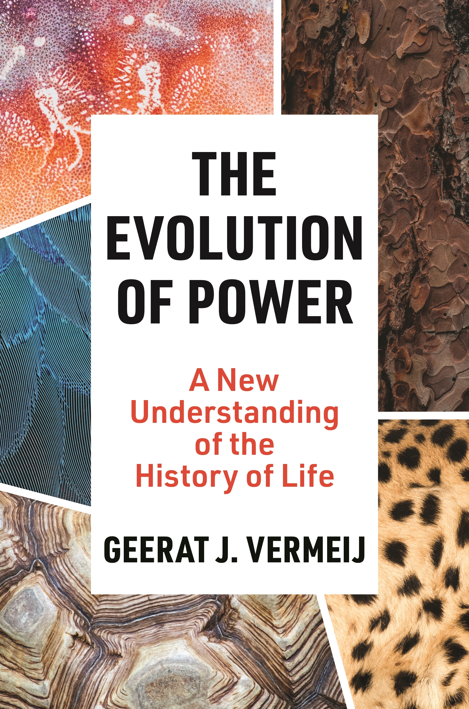 Power Invention Civilization The Evolution of Power | Princeton University Press
