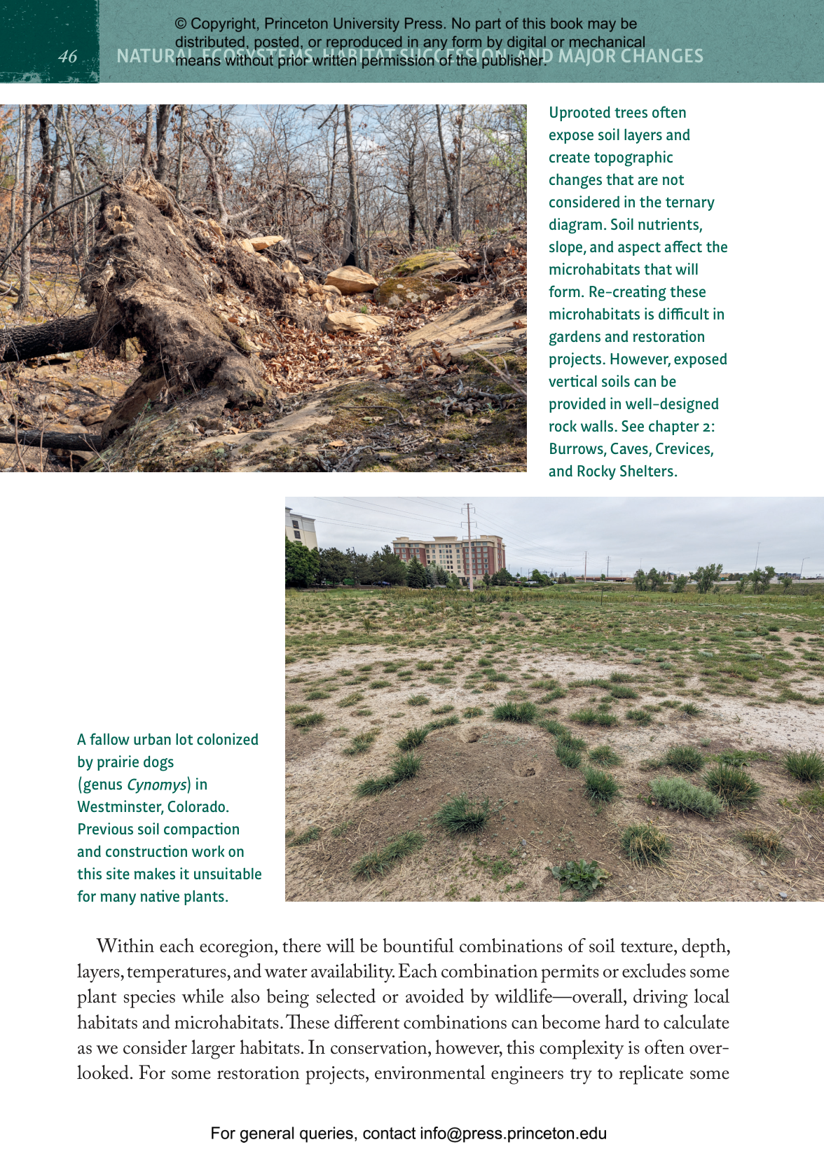 Natural Habitats and Wildlife Gardening | Princeton University Press