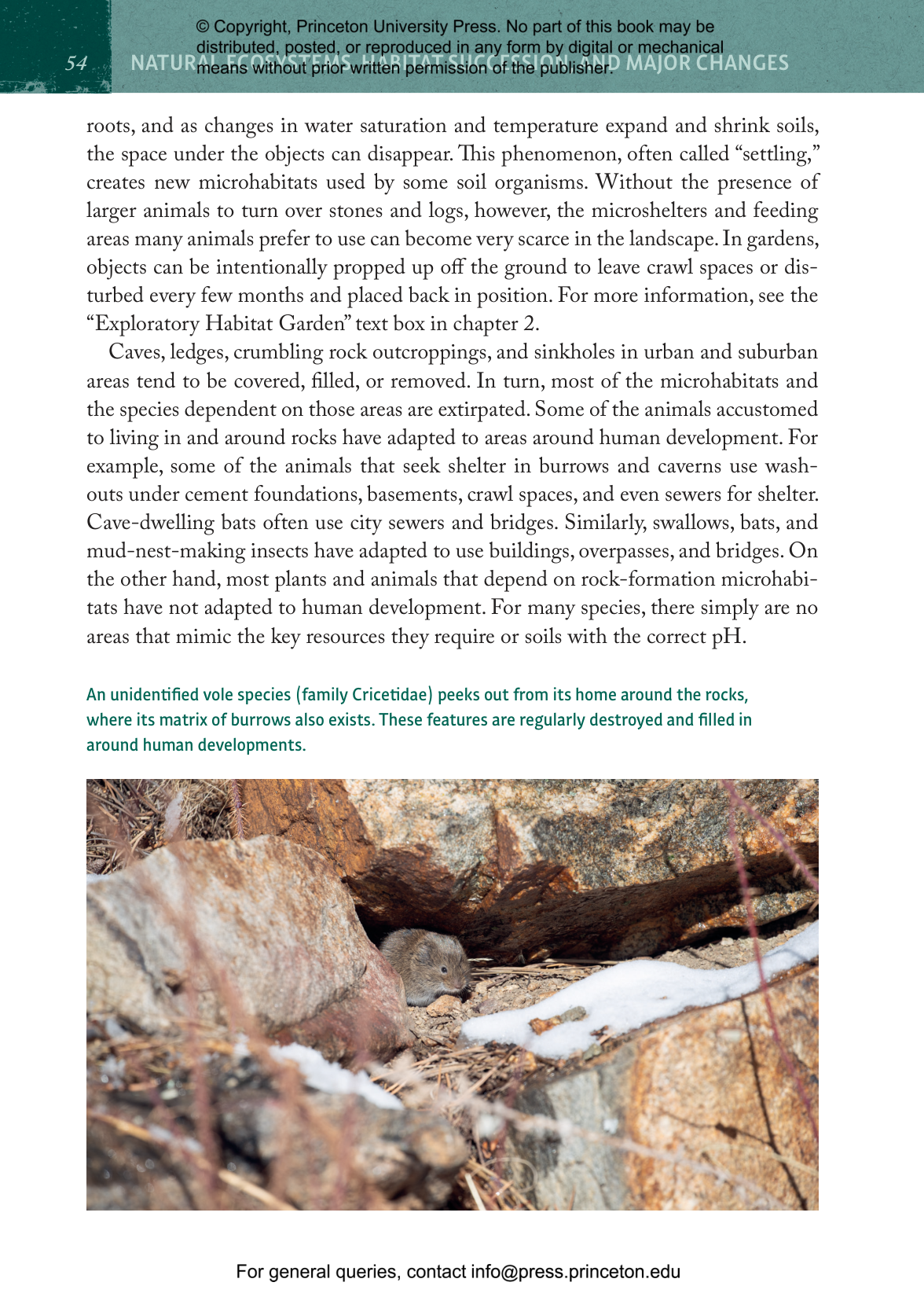 Natural Habitats and Wildlife Gardening | Princeton University Press