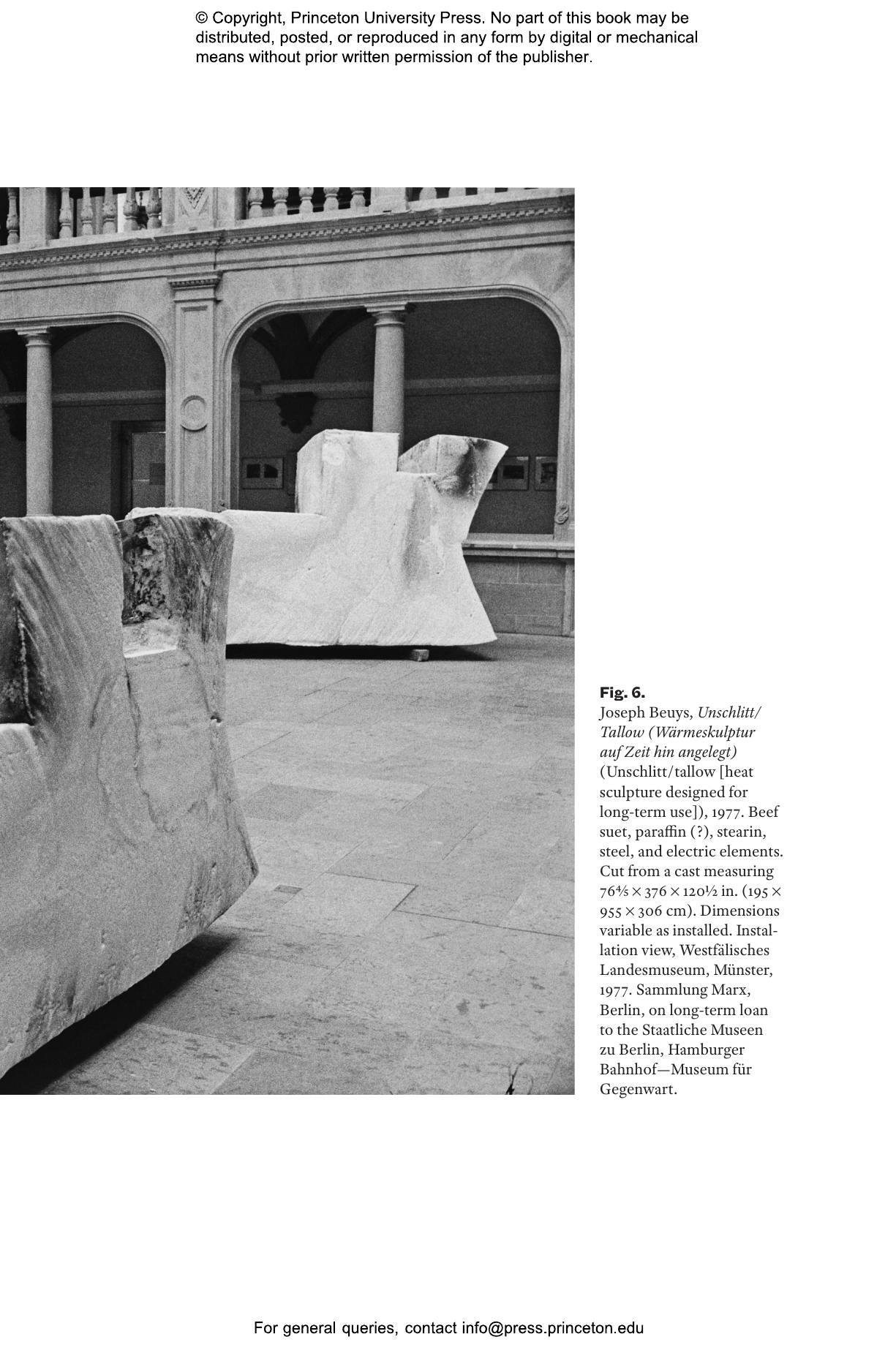 Joseph Beuys and History | Princeton University Press